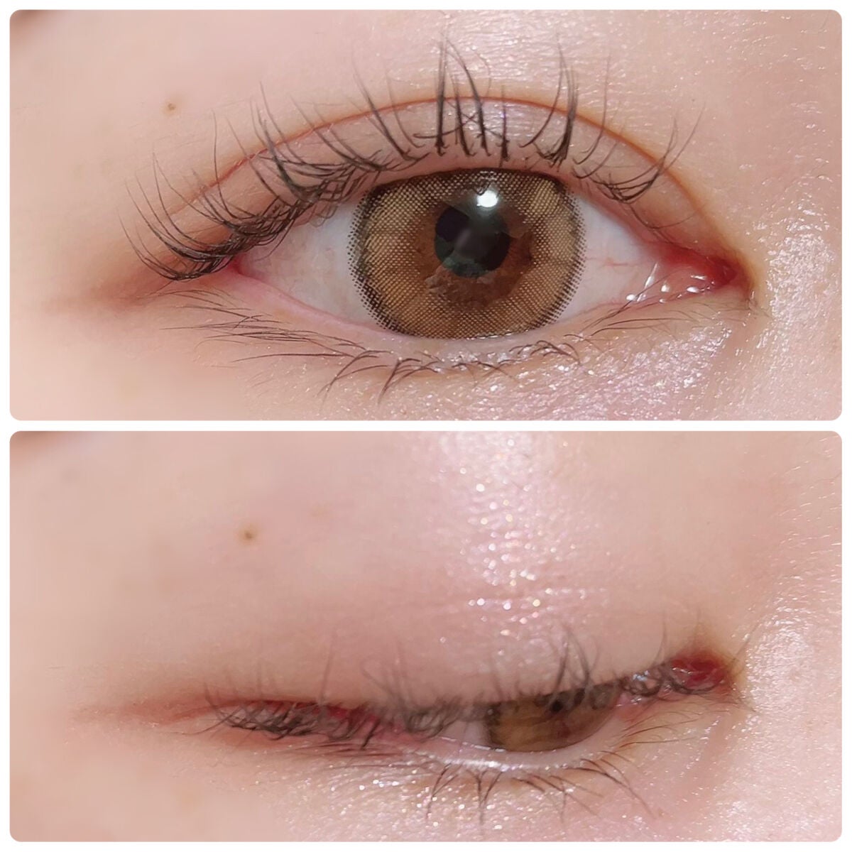 KEYBO FALL IN LOVE SHADOW PALETTE/keybo/アイシャドウパレットを使ったクチコミ(4枚目)