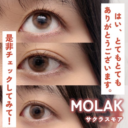 MOLAK 1day/MOLAK/ワンデー(1DAY)カラコンを使ったクチコミ(3枚目)