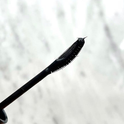 ラッシュエキスパンダー エッジマイスター F/MAJOLICA MAJORCA/マスカラを使ったクチコミ(2枚目)