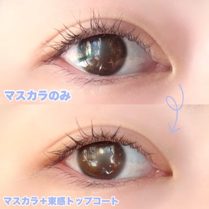 束感トップ コート/ブリンクブリンク/マスカラトップコートを使ったクチコミ(6枚目)