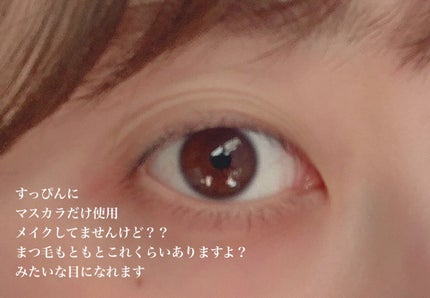 「塗るつけまつげ」自まつげ際立てタイプ/デジャヴュ/マスカラを使ったクチコミ(3枚目)