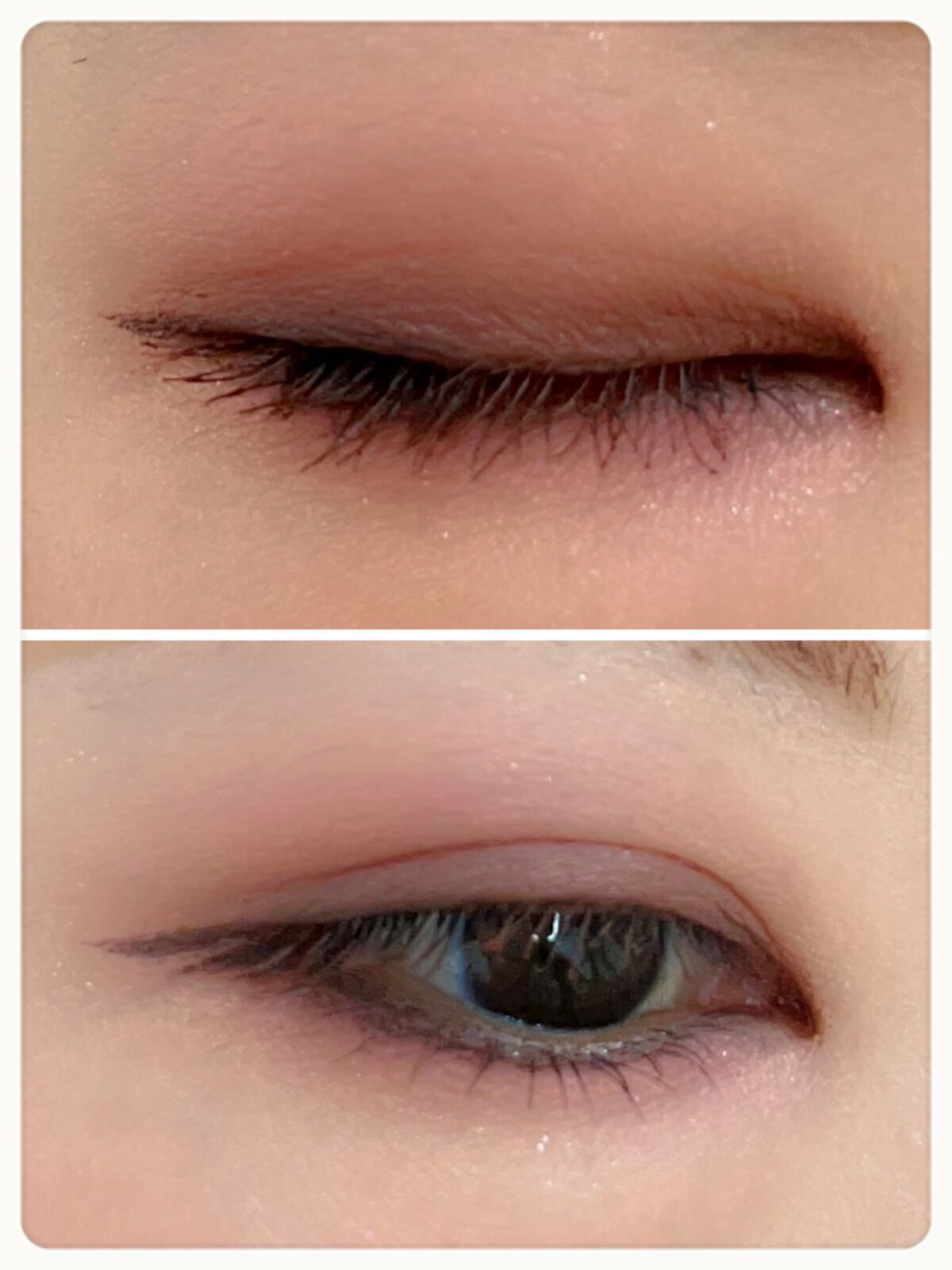 MDショールモーメント アイシャドウパレット/mude/アイシャドウパレットを使ったクチコミ(10枚目)