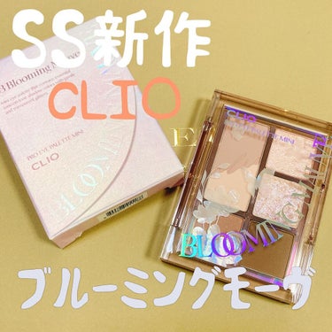 プロ アイパレット ミニ/CLIO/パウダーアイシャドウを使ったクチコミ（1枚目）