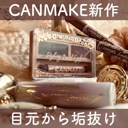 ラスティングリキッドライナー/キャンメイク/リキッドアイライナーを使ったクチコミ(1枚目)
