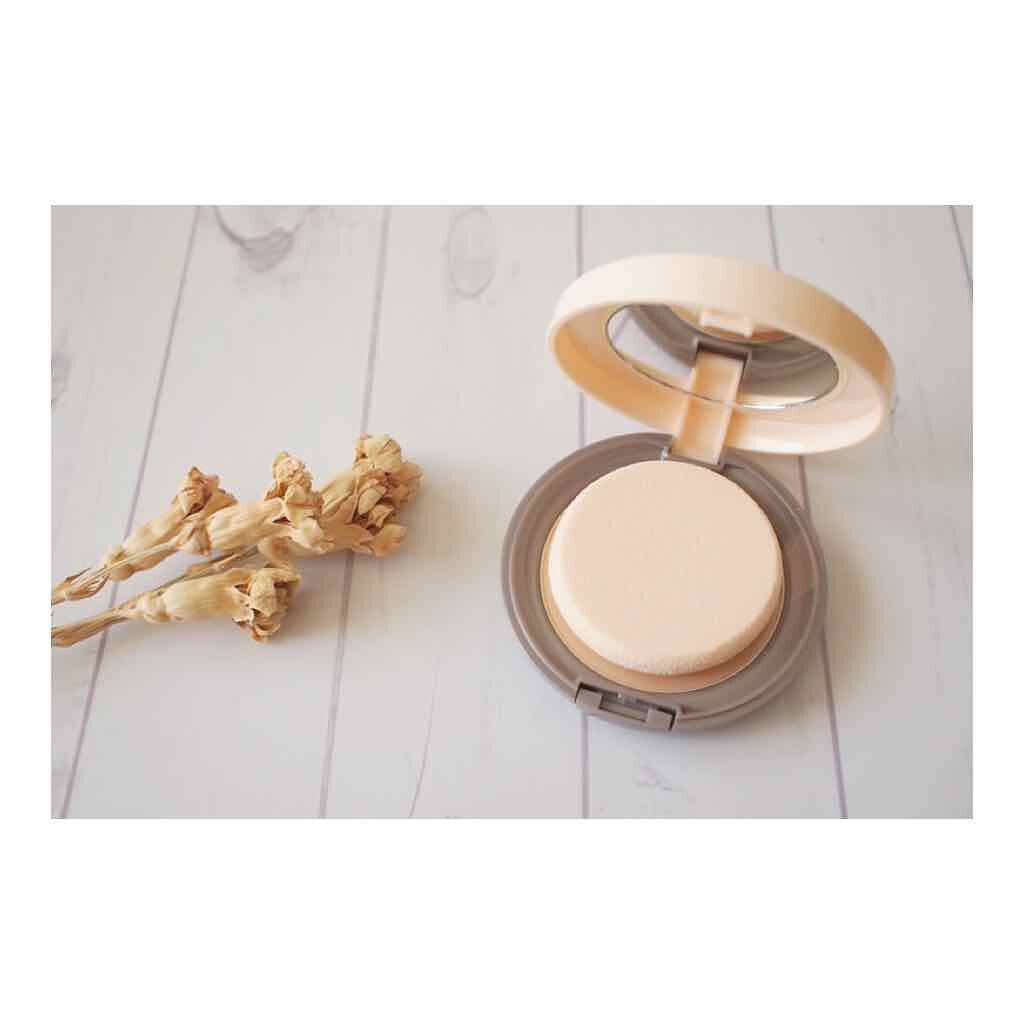 エッセンスBBパウダー ML(モイストラスティング)/毛穴パテ職人/プレストパウダーを使ったクチコミ(4枚目)