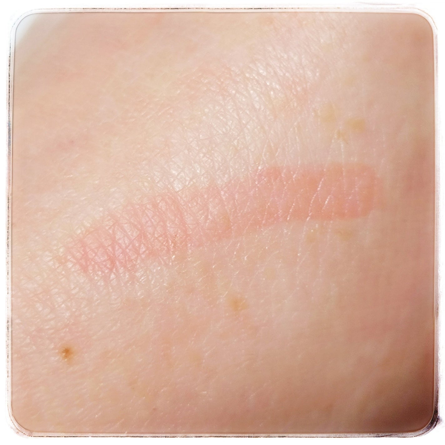 デューティント/AMUSE/リップティントを使ったクチコミ(4枚目)