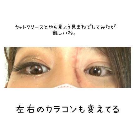 センチュリーアイパレット/SHEGLAM/アイシャドウパレットを使ったクチコミ(5枚目)