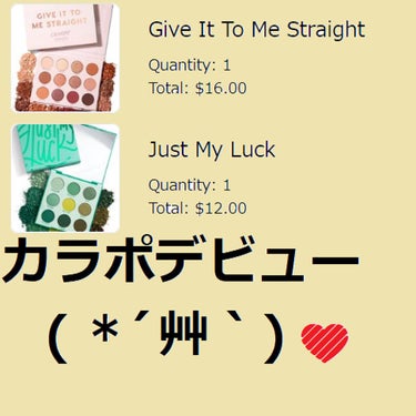 Give It To Me Straight/ColourPop/アイシャドウパレットを使ったクチコミ（1枚目）