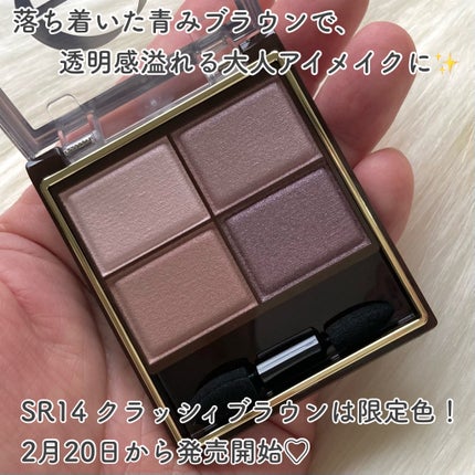 スキニーリッチシャドウ/excel/アイシャドウパレットを使ったクチコミ(6枚目)