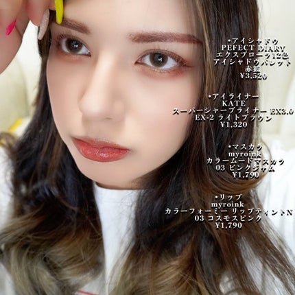 エクスプローラ12色 動物アイシャドウパレット/PERFECT DIARY/アイシャドウパレットを使ったクチコミ(6枚目)