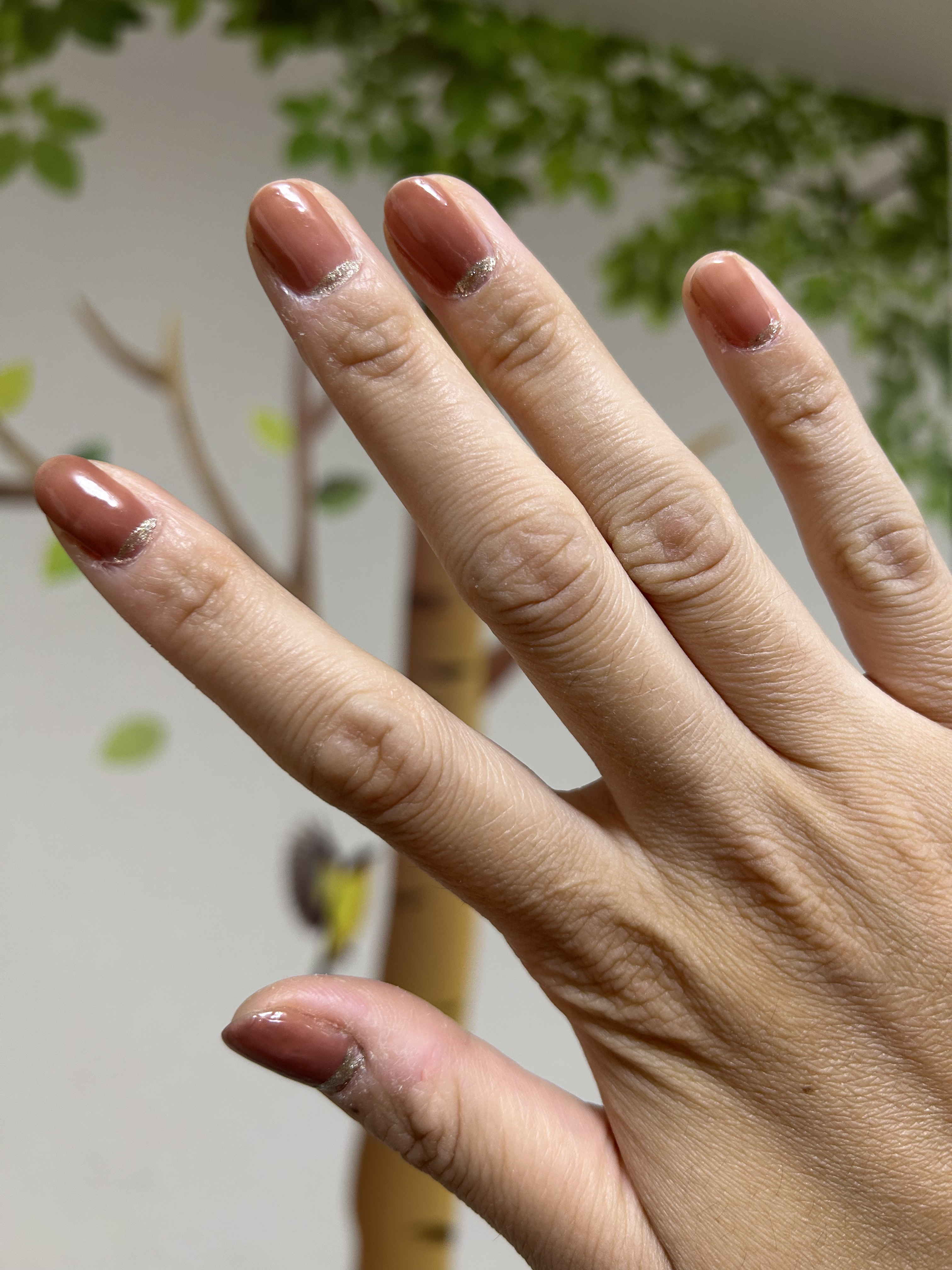 カラフルネイルズ/キャンメイク/マニキュアを使ったクチコミ（3枚目）