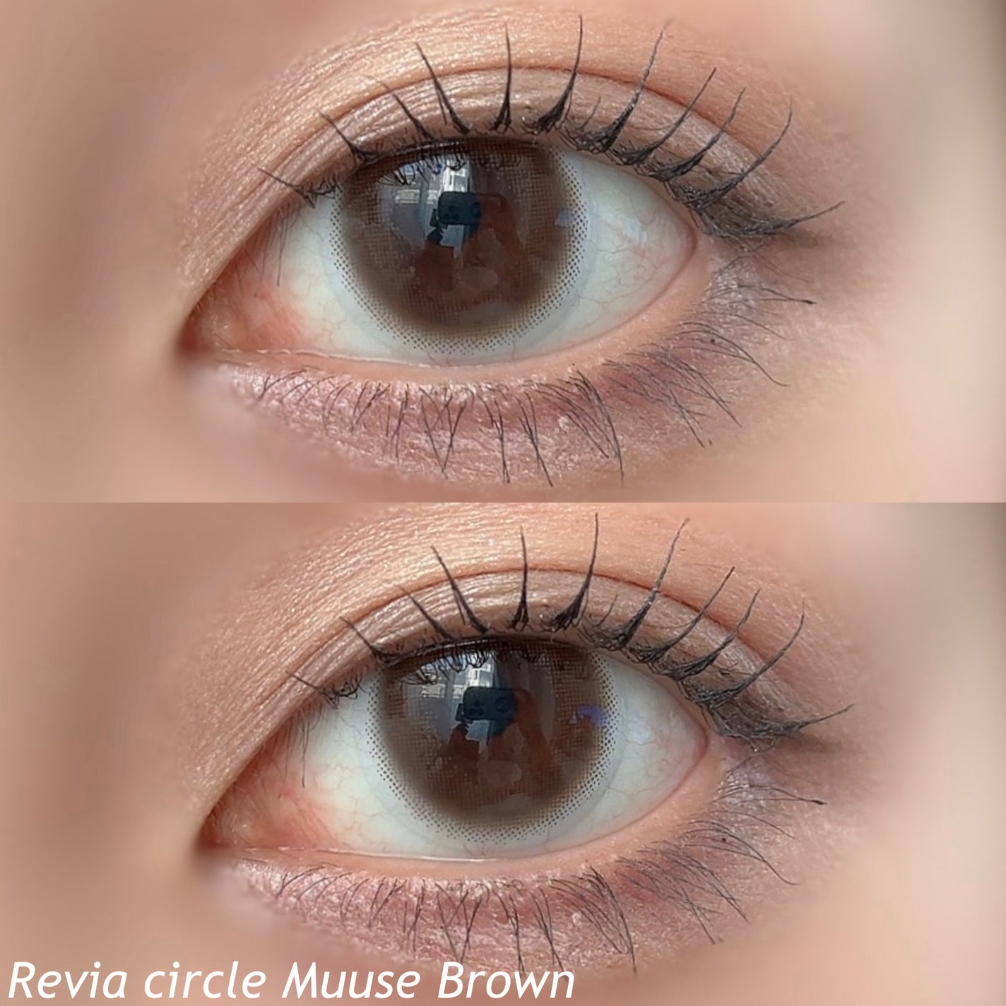 ReVIA CIRCLE 1day/ReVIA/ワンデー(1DAY)カラコンを使ったクチコミ(5枚目)