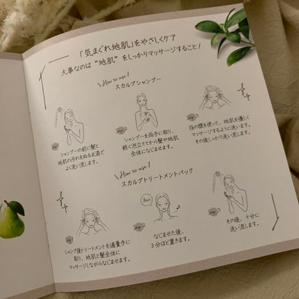 ã¹ã«ã«ãD ããŒã ããã¥ã©ã¹ã¿ãŒ ã¹ã«ã«ãã·ã£ã³ããŒïŒããªãŒãã¡ã³ãããã¯/ã¢ã³ãã¡ãŒ(ã¹ã«ã«ãD)/ã·ã£ã³ããŒã»ã³ã³ãã£ã·ã§ããŒã䜿ã£ãã¯ãã³ãïŒ5æç®ïŒ