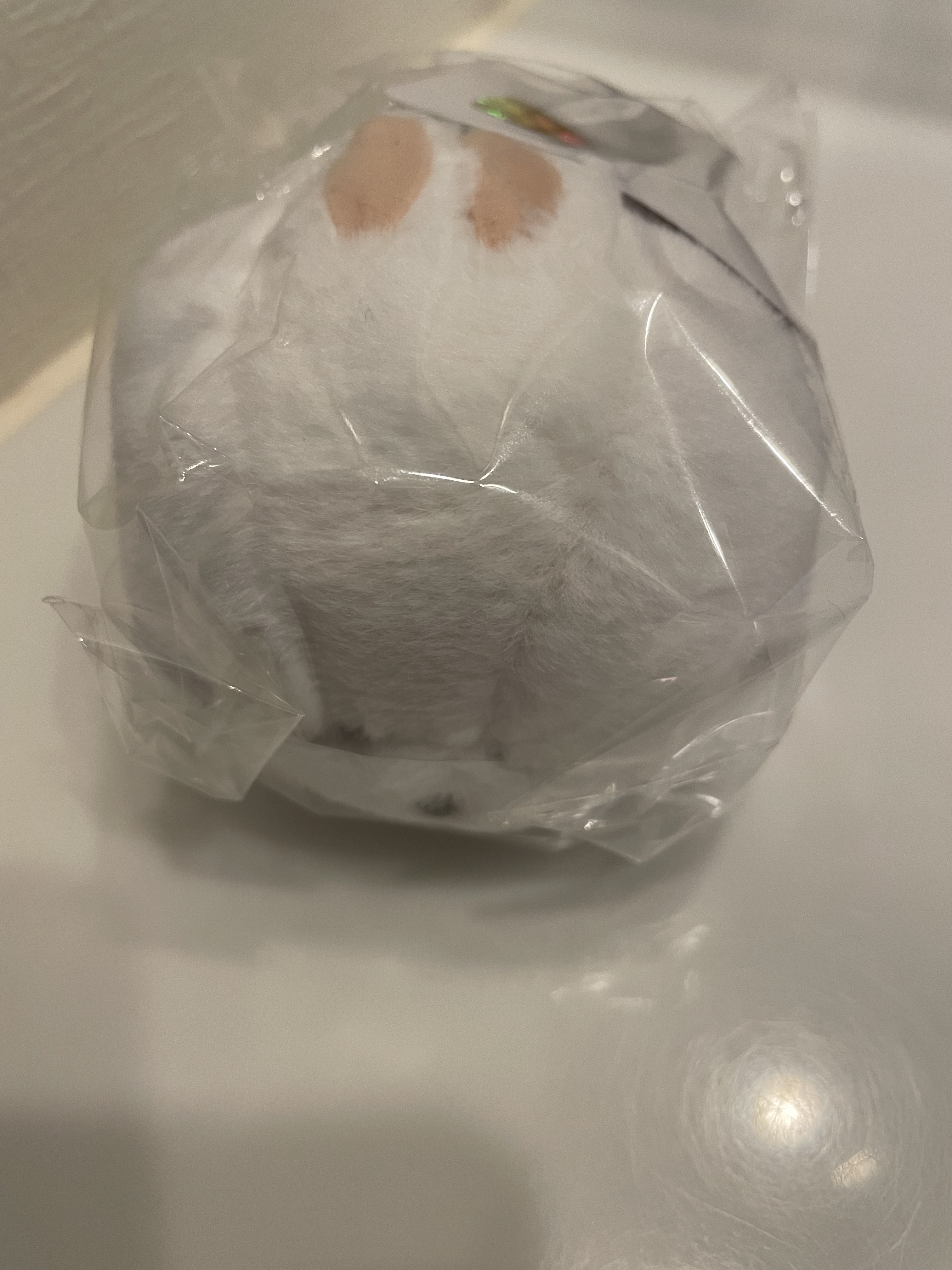 ブレミッシュ 酵素 洗顔パウダー/PAPA RECIPE/洗顔パウダーを使ったクチコミ（3枚目）