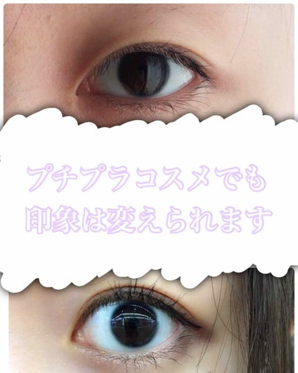 極細 アイライナーR/CEZANNE/リキッドアイライナーを使ったクチコミ(1枚目)