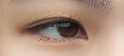 3Dプロデュースシャドウ/KATE/アイシャドウパレットを使ったクチコミ(6枚目)