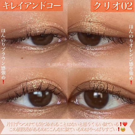 プロ アイ パレット/CLIO/アイシャドウパレットを使ったクチコミ(7枚目)