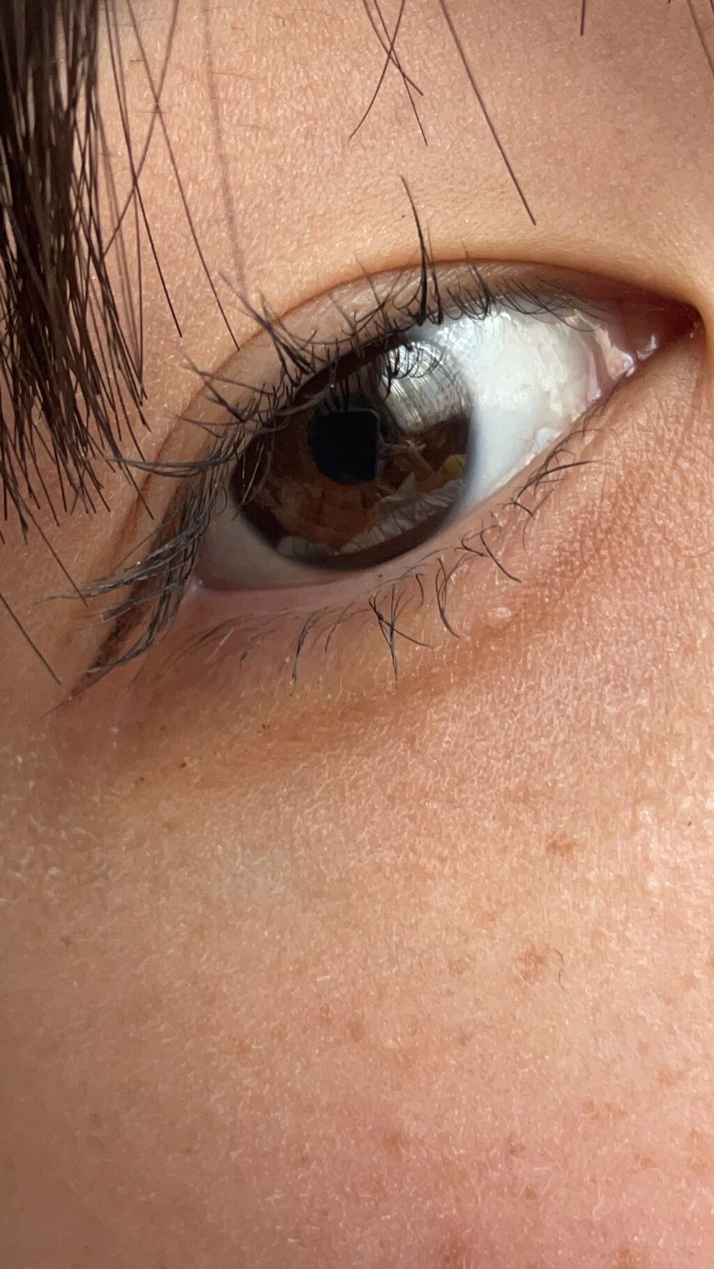 ラッシュフォーマー(クリア)/KATE/マスカラを使ったクチコミ(1枚目)