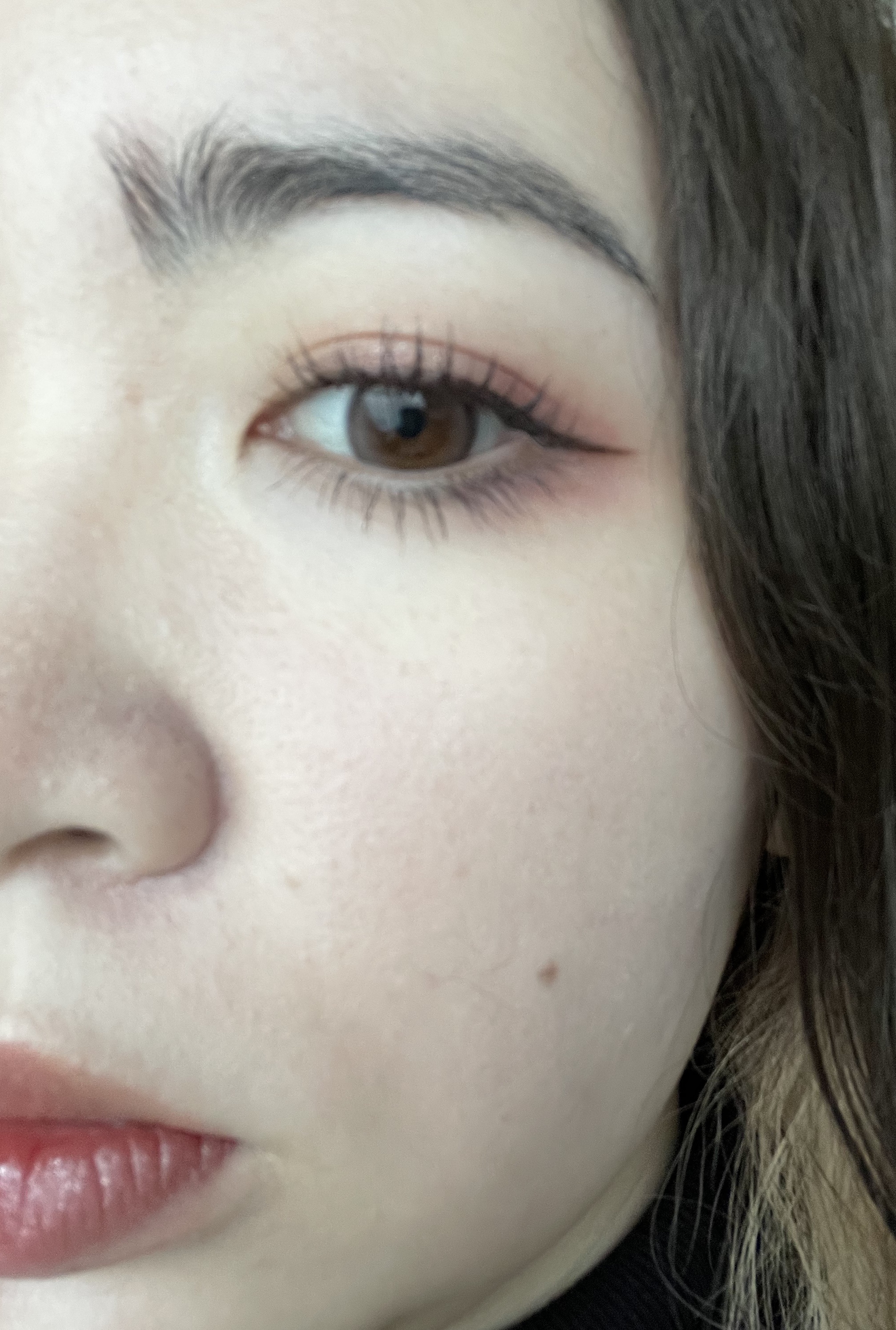 melotte 1day ダーリンフィグ/melotte/ワンデー（１DAY）カラコンを使ったクチコミ（2枚目）