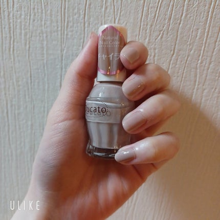 ナチュラルネイルカラーN/デュカート/マニキュアを使ったクチコミ(2枚目)