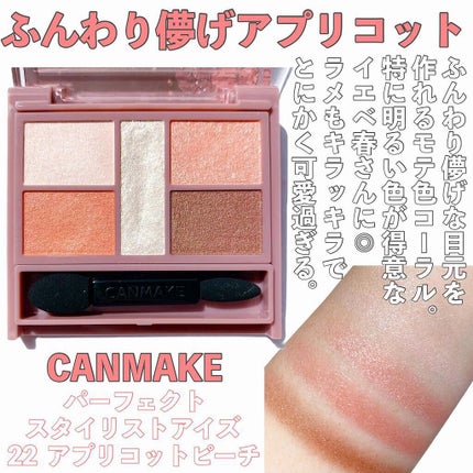 シルキースフレアイズ/キャンメイク/アイシャドウパレットを使ったクチコミ(3枚目)