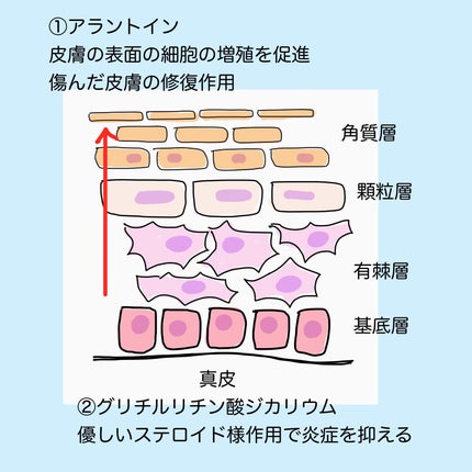 潤浸保湿 フェイスクリーム/キュレル/フェイスクリームを使ったクチコミ(3枚目)