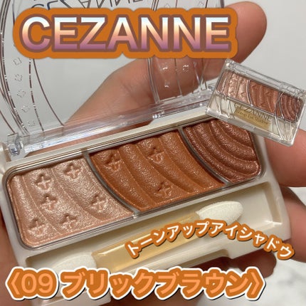 トーンアップアイシャドウ/CEZANNE/アイシャドウパレットを使ったクチコミ(1枚目)