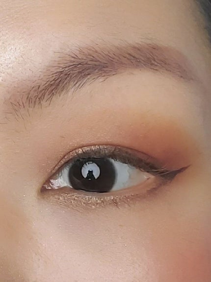 ボーンディスウェイ サンセット ストリップ アイシャドウ パレット/Too Faced/アイシャドウパレットを使ったクチコミ(6枚目)