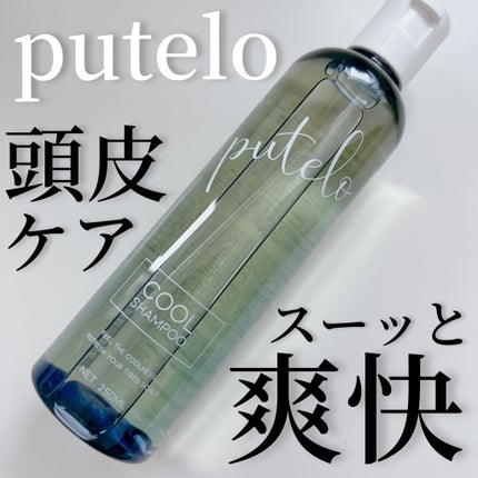 シャンプー クール/putelo/サロンシャンプーを使ったクチコミ(1枚目)