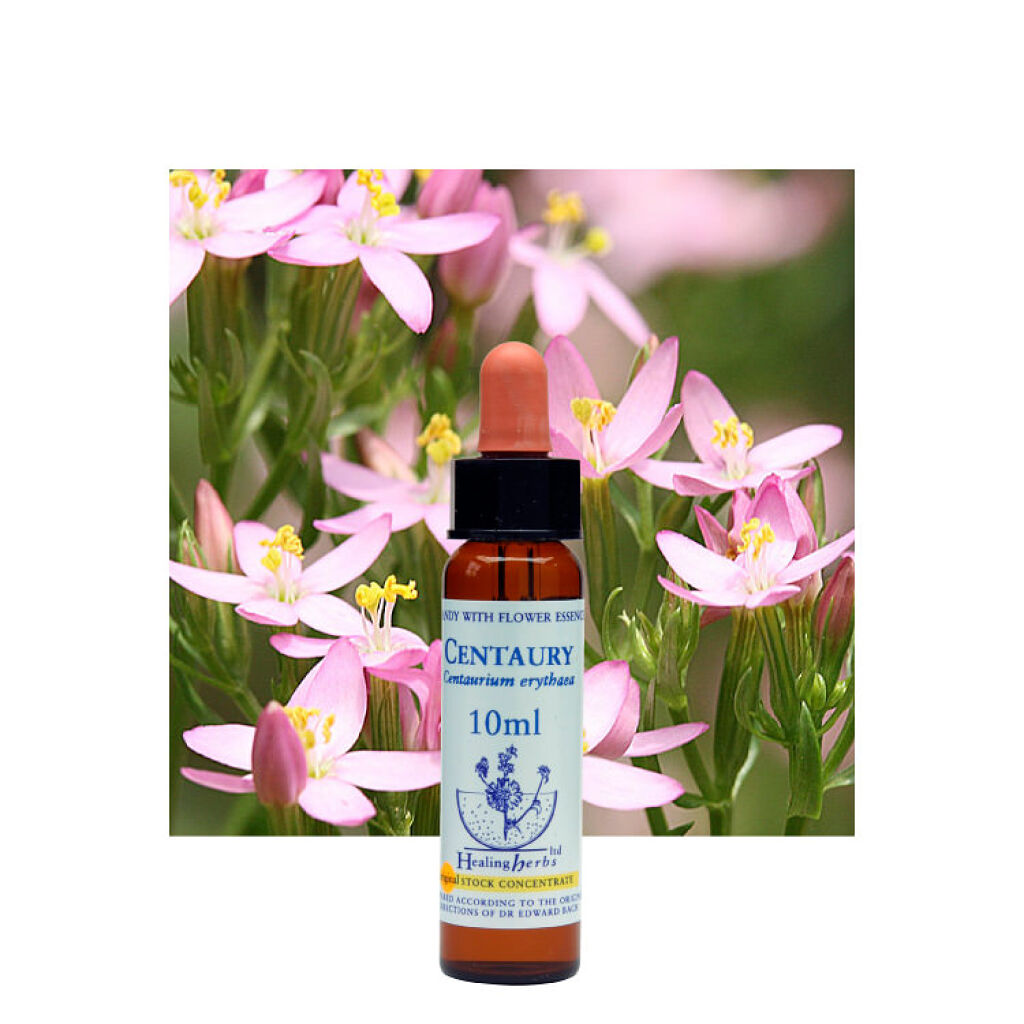 ヒーリングハーブフラワーエッセンス セントーリー