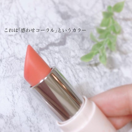 フェイクヌードリップ/素肌記念日/リップティントを使ったクチコミ(2枚目)