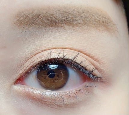 シャドウパレット/dasique/アイシャドウパレットを使ったクチコミ(5枚目)