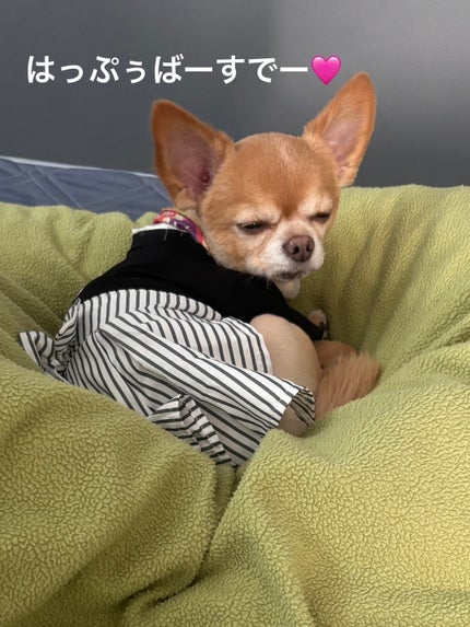 ネイルホリック リミテッドカラー Winter Sweet Biscuit/ネイルホリック/マニキュアを使ったクチコミ(6枚目)