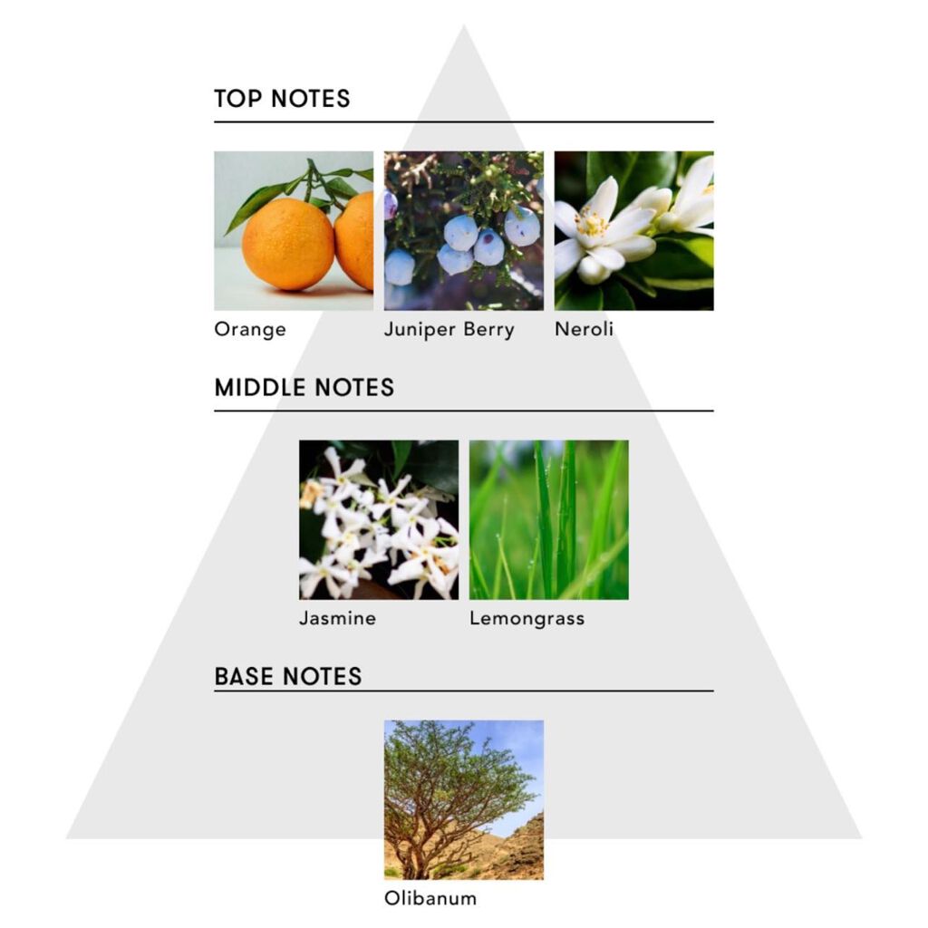 マインドフル フレグランス ノンアルコール スティルネス&エナジー/SINN PURETÉ/香水(レディース)を使ったクチコミ(2枚目)