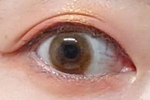 長相思シリーズ 9色アイシャドウパレット/CATKIN/アイシャドウパレットを使ったクチコミ(3枚目)