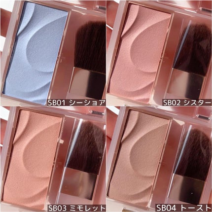 シームレストーン ブラッシュ/excel/パウダーチークを使ったクチコミ(9枚目)