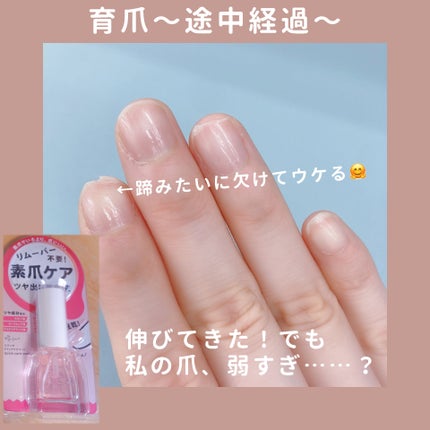 エテュセ クイックケアコート/ettusais/ネイルオイル・トリートメントを使ったクチコミ(1枚目)