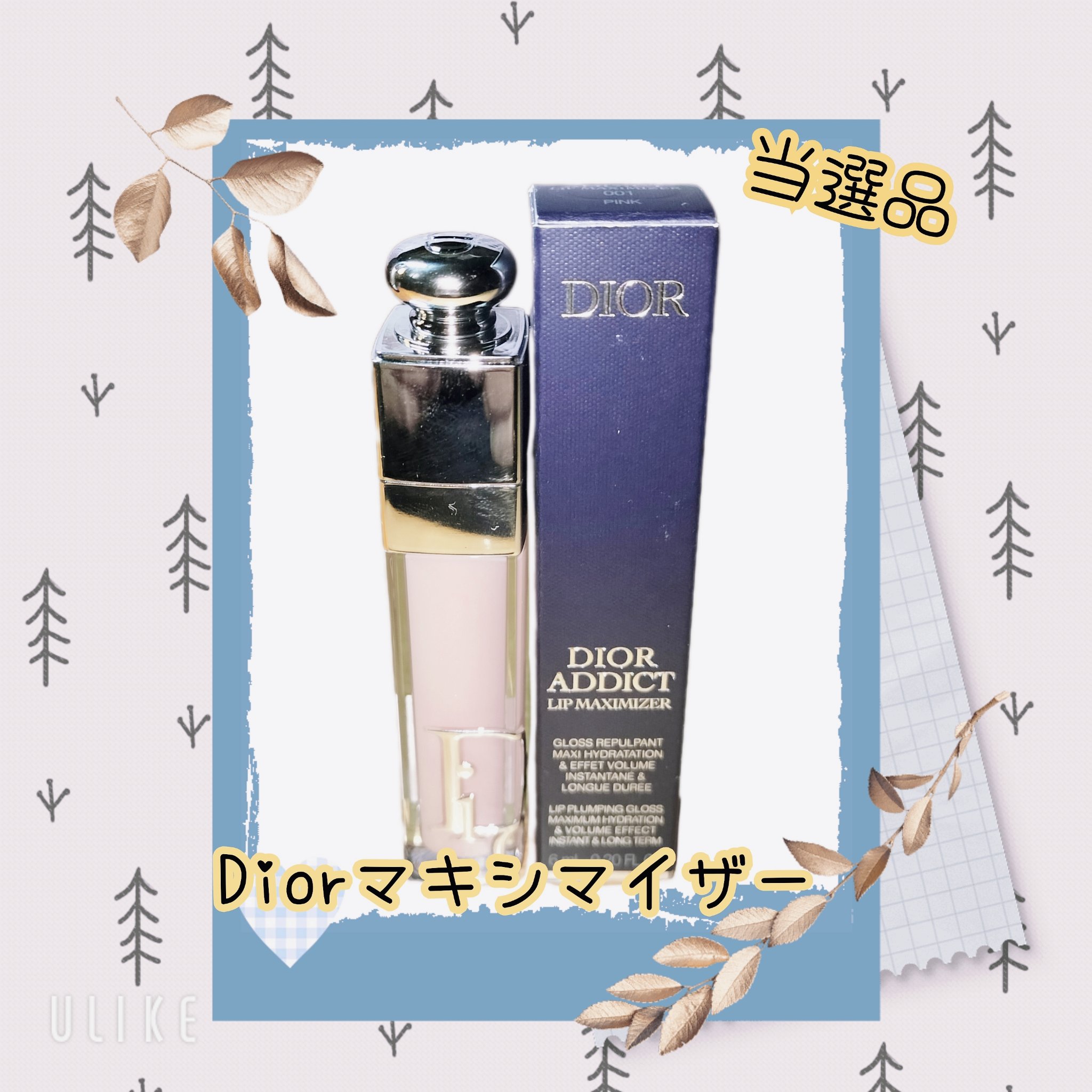 ディオール アディクト リップ マキシマイザー/Dior/リップグロスを使ったクチコミ（1枚目）