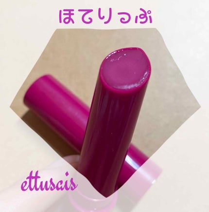 エテュセ リップエディション(プランパー)リッチスタイル/ヘルシースタイル/ettusais/リップケアを使ったクチコミ(1枚目)