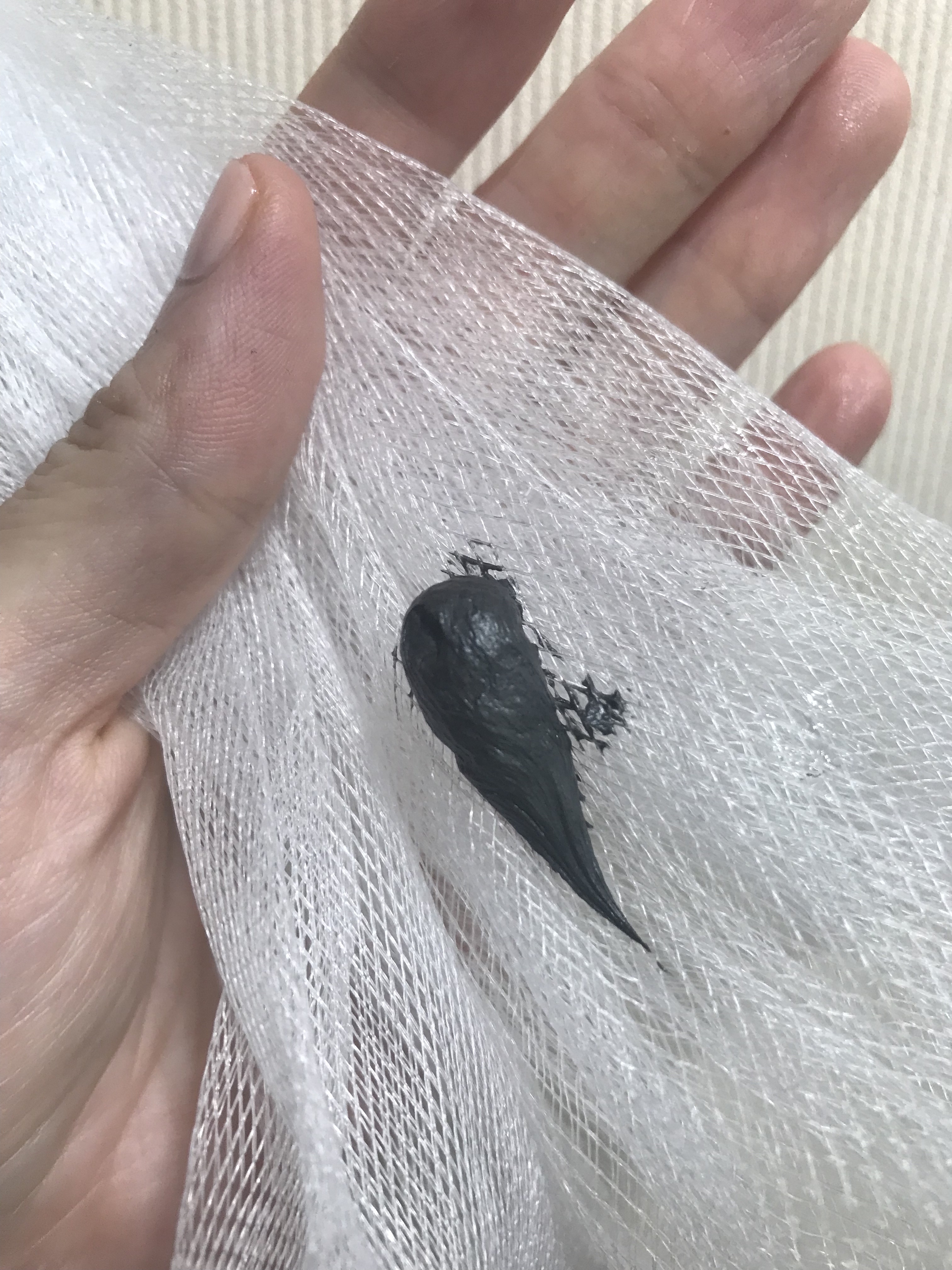 毛穴小町 テカリ源治 もちもちブラック洗顔/クリアターン/洗顔フォームを使ったクチコミ（2枚目）