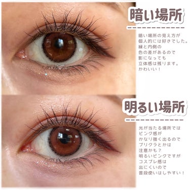 eye closet iDOL Series CANNA ROSE 1day チェリーブラウン/EYE CLOSET/ワンデー（１DAY）カラコンの画像