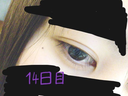 ラッシュジェリードロップ/MAJOLICA MAJORCA/まつげ美容液を使ったクチコミ(2枚目)