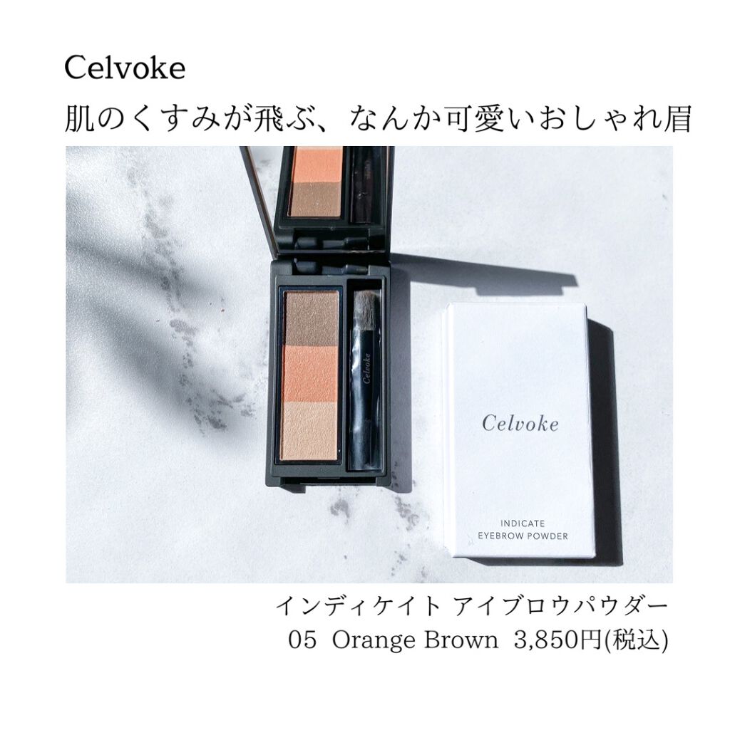 セルヴォーク インディケイトアイブロウパウダー/Celvoke/パウダーアイブロウを使ったクチコミ（2枚目）