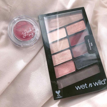 Eyeshadow 10 Pan Palette/wet 'n' wild/アイシャドウパレットを使ったクチコミ（2枚目）