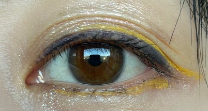 クリーム カラー フォー アイズ/TOM FORD BEAUTY/ジェル・クリームアイシャドウを使ったクチコミ(6枚目)