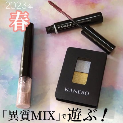 カネボウ アイカラーデュオ/KANEBO/アイシャドウパレットを使ったクチコミ(1枚目)