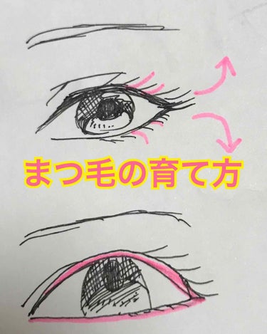 
マスカラや、まつげ美容液など使用する際に😊
個人差あると思います😌

ピンクの図のように毛の流れに沿って
マスカラします！
上なまつ毛なら下から上へ
したまつ毛なら上から下へ
毛の流れに沿ってします！