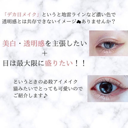 を使ったクチコミ(2枚目)