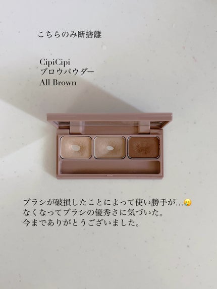 セルヴォーク インディケイトアイブロウパウダー/Celvoke/パウダーアイブロウを使ったクチコミ(6枚目)