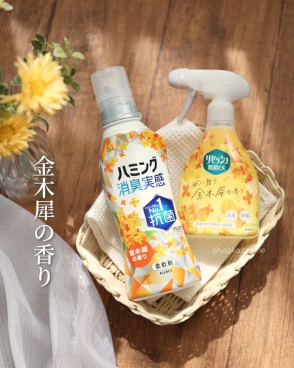 リセッシュ抗菌EX 金木犀の香り/リセッシュ/その他を使ったクチコミ(1枚目)